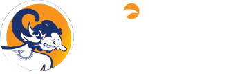 Kemdikti